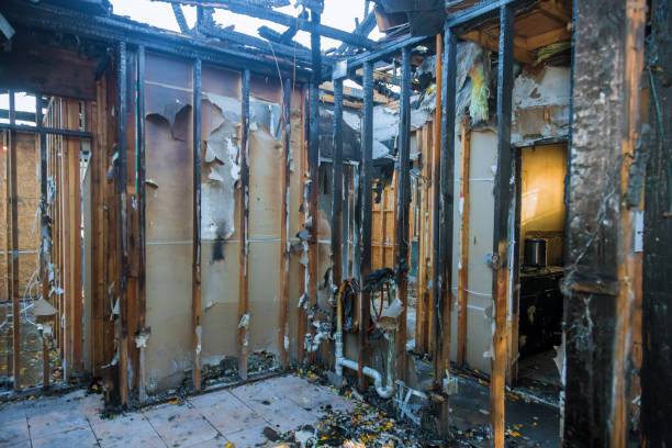 Professional Soot Cleanup technician working in Buckingham, FL